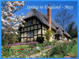 Spring in England - May 