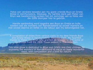 Fotos van verskeiebesoekeaan my goeievriende Buys en Grieta Wiese in Vanrhynsdorp, Weskaap. My hartlike dank aan Pieter van Rhynwattoestemmingverleen het omsommige van syfotos van die 2006 blomjaarhiertegebruik.Hierdieaanbieding word opgedraaan Buys en Grieta en hullekinderswat die wonders van Namakwaland op soveelmaniere en met soveeldeernis en liefdevir die natuuraan my bekendgestel het.A compilation of slides from various visits to my dear friends Buys and Grieta Wiese in Vanrhynsdorp, Western Cape. My heartfelt thanks to Pieter van Rhyn who granted permission to add some of his photos from the 2006 flower season to this collection.This slide show is dedicated to Buys and Grieta and their children for exposing the wonders of Namakwaland to me in so many wonderful ways, with compassion and a love for nature. 