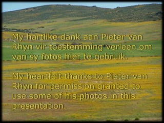 My hartlike dank aan Pieter van Rhynvirtoestemmingverleenom van syfotoshiertegebruik.My heartfelt thanks to Pieter van Rhyn for permission granted to use some of his photos in this presentation.