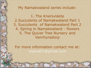My Namakwaland series include:1. The Knersvlakte2.Succulents of Namakwaland Part 13. Succulents  of Namakwaland Part 24. Spring in Namakwaland - flowers5. The Quiver Tree Nursery and VanrhynsdorpFor more information contact me at:viawia01@gmail.com