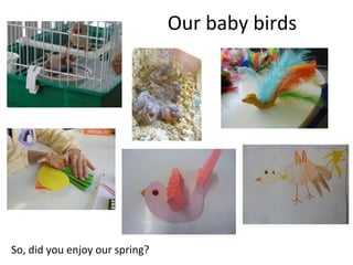 Our baby birds
So, did you enjoy our spring?
 