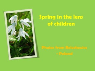 Spring in the lens
of children
Photos from Bolesławiec
- Poland
 