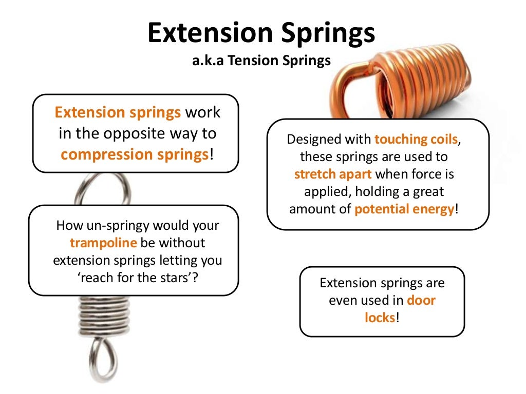 Spring Inventions You Couldn't Live Without!
