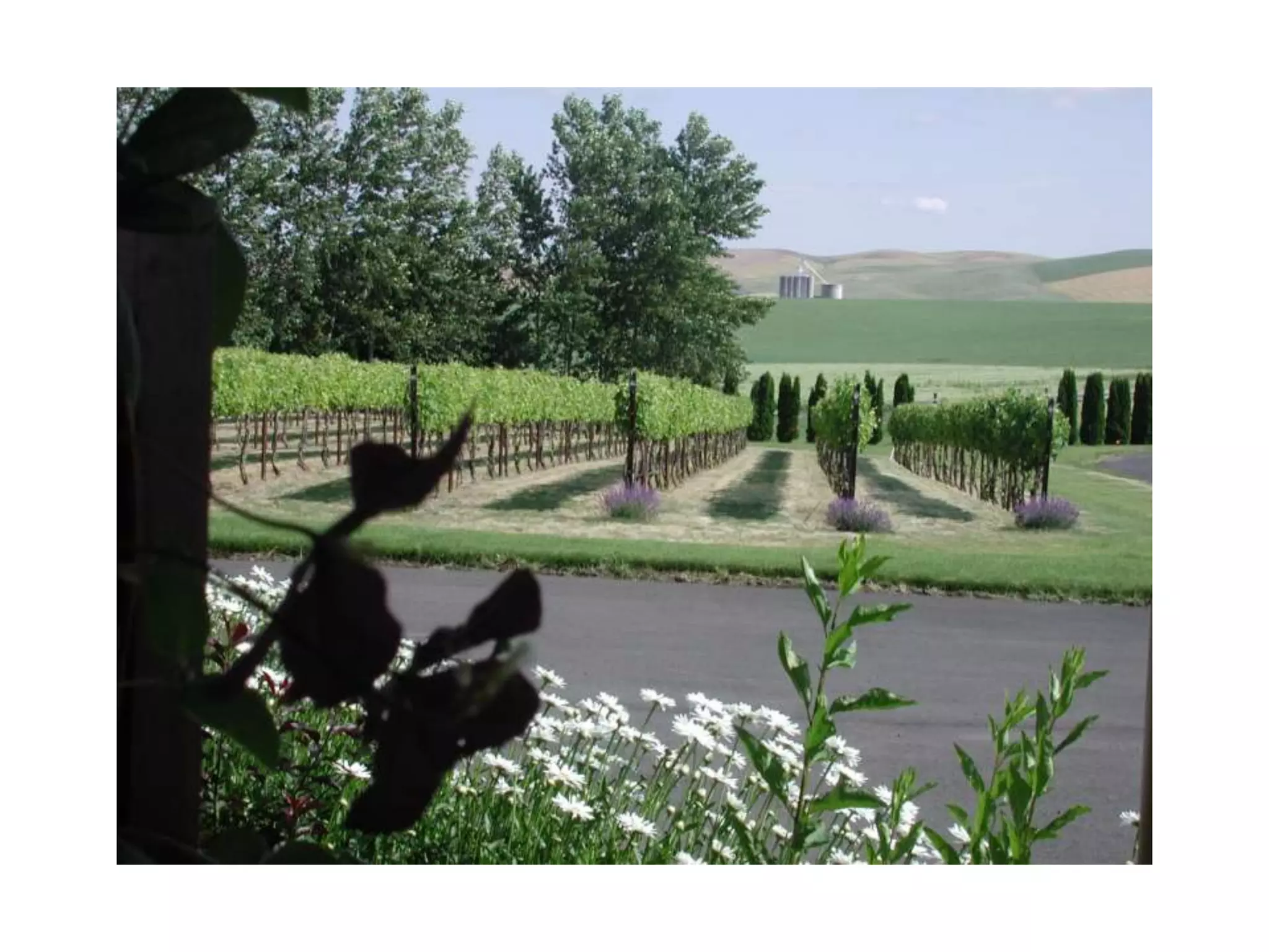 Spring in Walla Walla slideshow