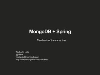 MongoDB + Spring | PPTX
