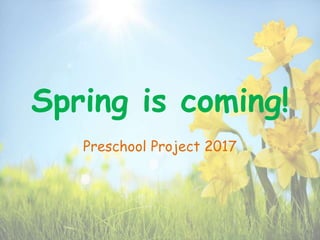 Spring is coming!
Preschool Project 2017