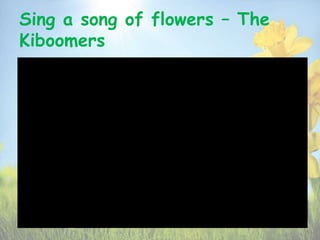Sing a song of flowers – The
Kiboomers