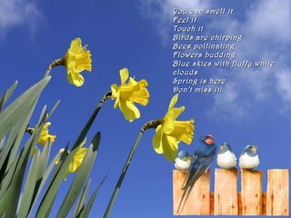 You can smell it Feel it Touch it Birds are chirping Bees pollinating Flowers budding Blue skies with fluffy white clouds Spring is here Don't miss it! 