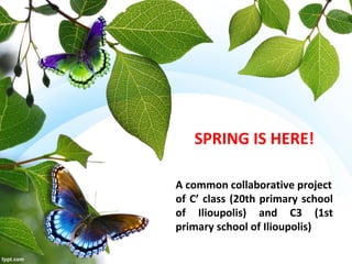 SPRING IS HERE!
A common collaborative project
of C’ class (20th primary school
of Ilioupolis) and C3 (1st
primary school of Ilioupolis)
 