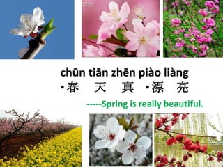 chūntiānzhēnpiàoliàng春　 天　 真    漂　亮 -----Spring is really beautiful. 