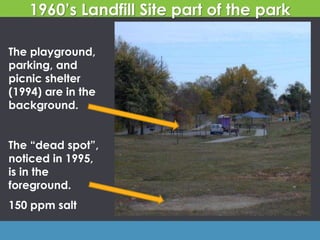 1960’s Landfill Site part of the park
The playground,
parking, and
picnic shelter
(1994) are in the
background.
The “dead spot”,
noticed in 1995,
is in the
foreground.
150 ppm salt
 