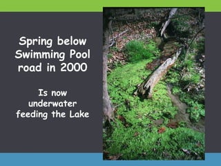 Spring below
Swimming Pool
road in 2000
Is now
underwater
feeding the Lake
 
