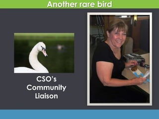 CSO’s
Community
Liaison
Another rare bird
 