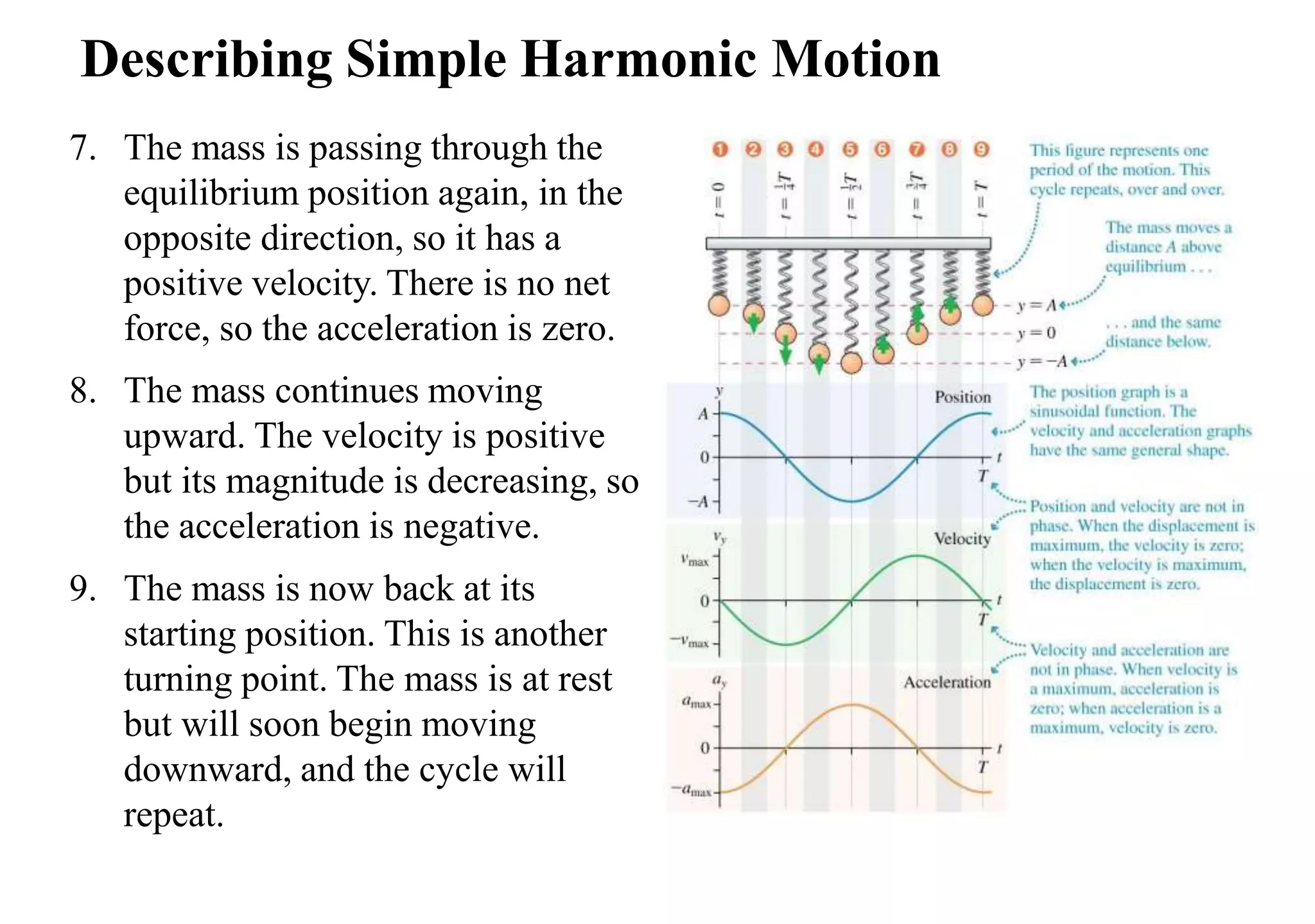 Describing Simple Harmonic Motion
7. The mass is passing through the
equilibrium position again, in the
opposite direction, so it has a
positive velocity. There is no net
force, so the acceleration is zero.
8. The mass continues moving
upward. The velocity is positive
but its magnitude is decreasing, so
the acceleration is negative.
9. The mass is now back at its
starting position. This is another
turning point. The mass is at rest
but will soon begin moving
downward, and the cycle will
repeat.
 