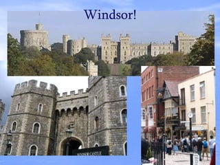 Windsor!
 