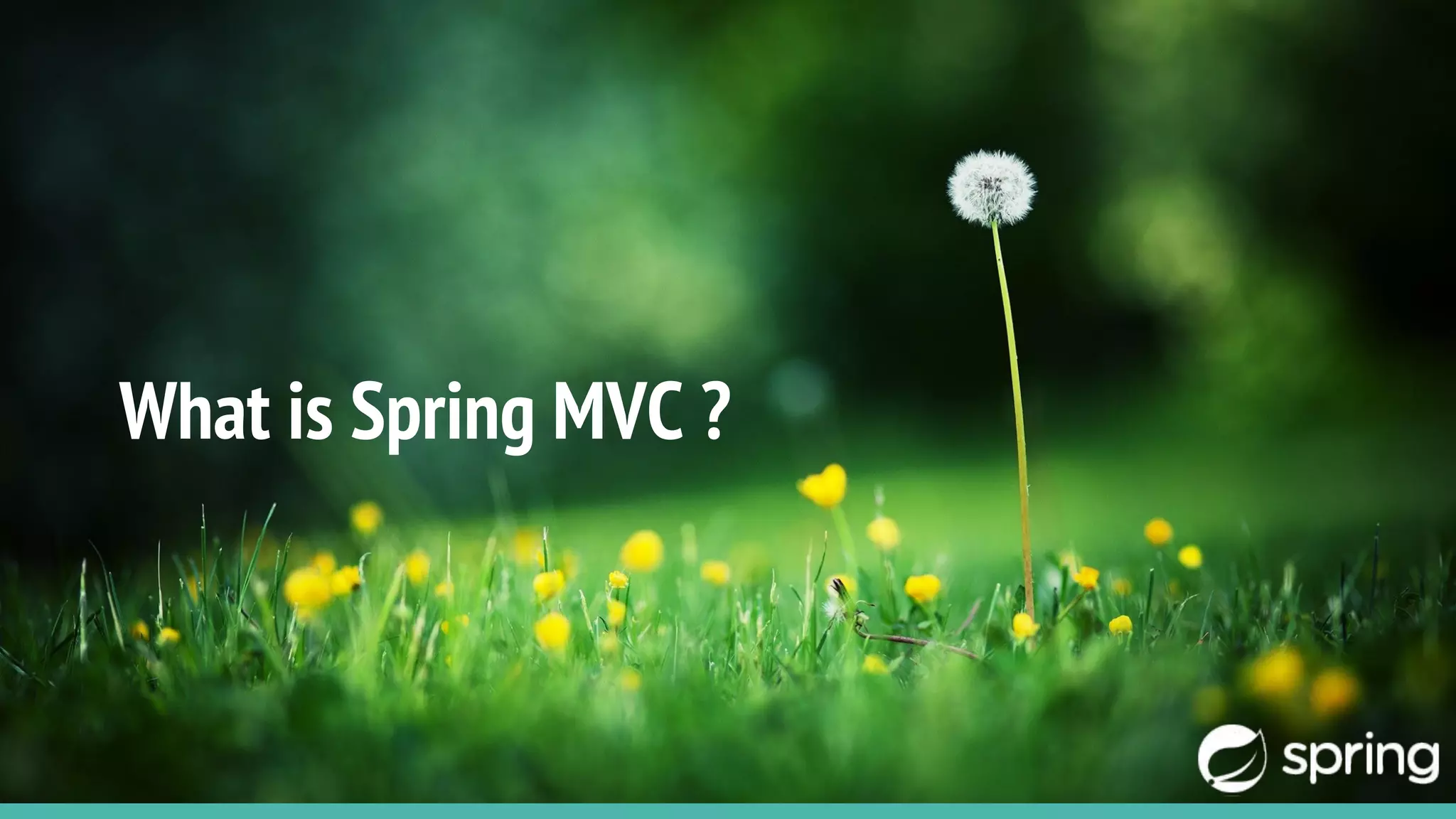 What is Spring MVC ?
 