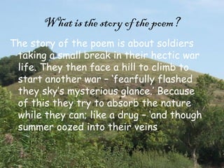 Spring Offensive Pome Spring offensive1 | PPT