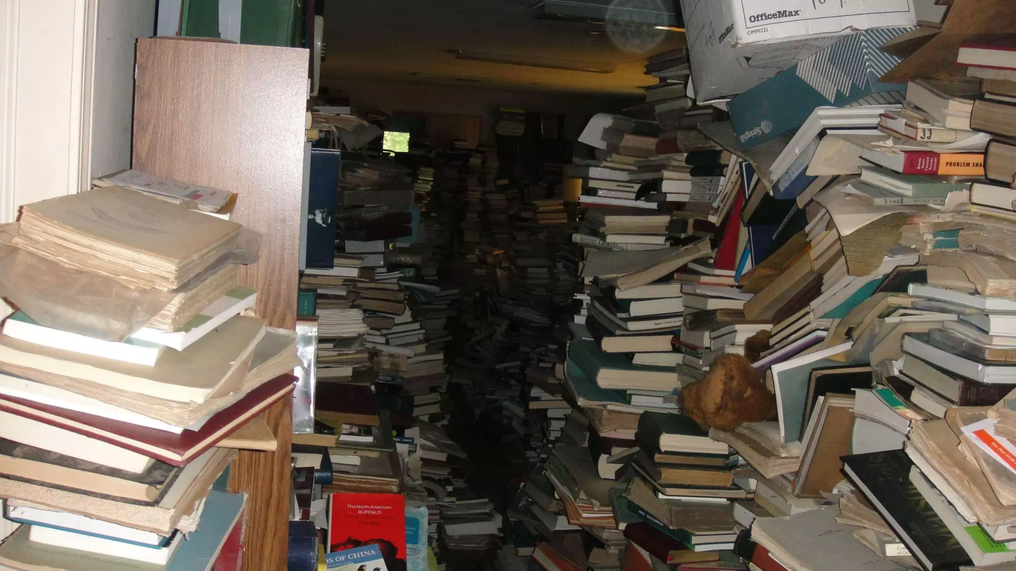 THIRDCHANNEL @svpember
 