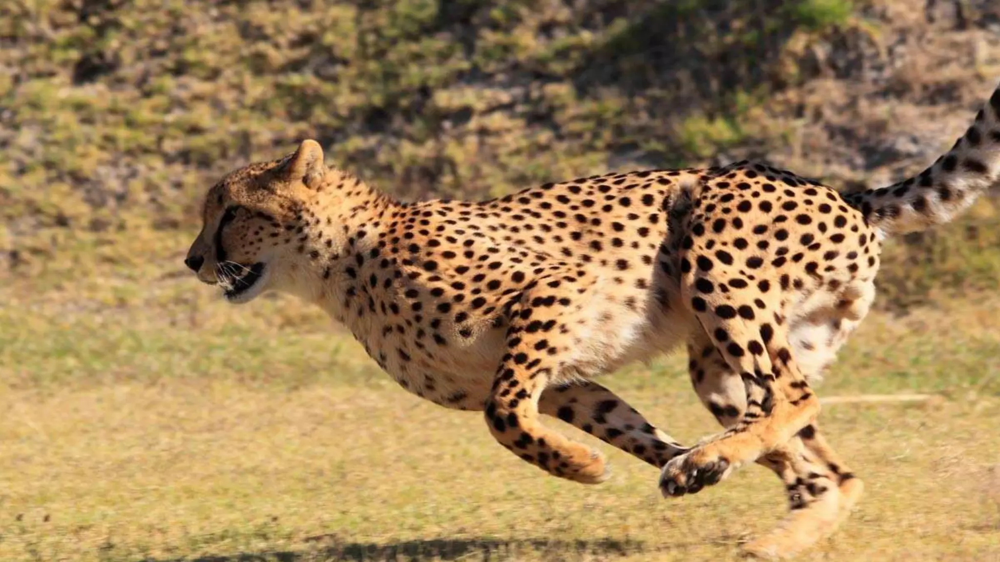 THIRDCHANNEL @svpember
 