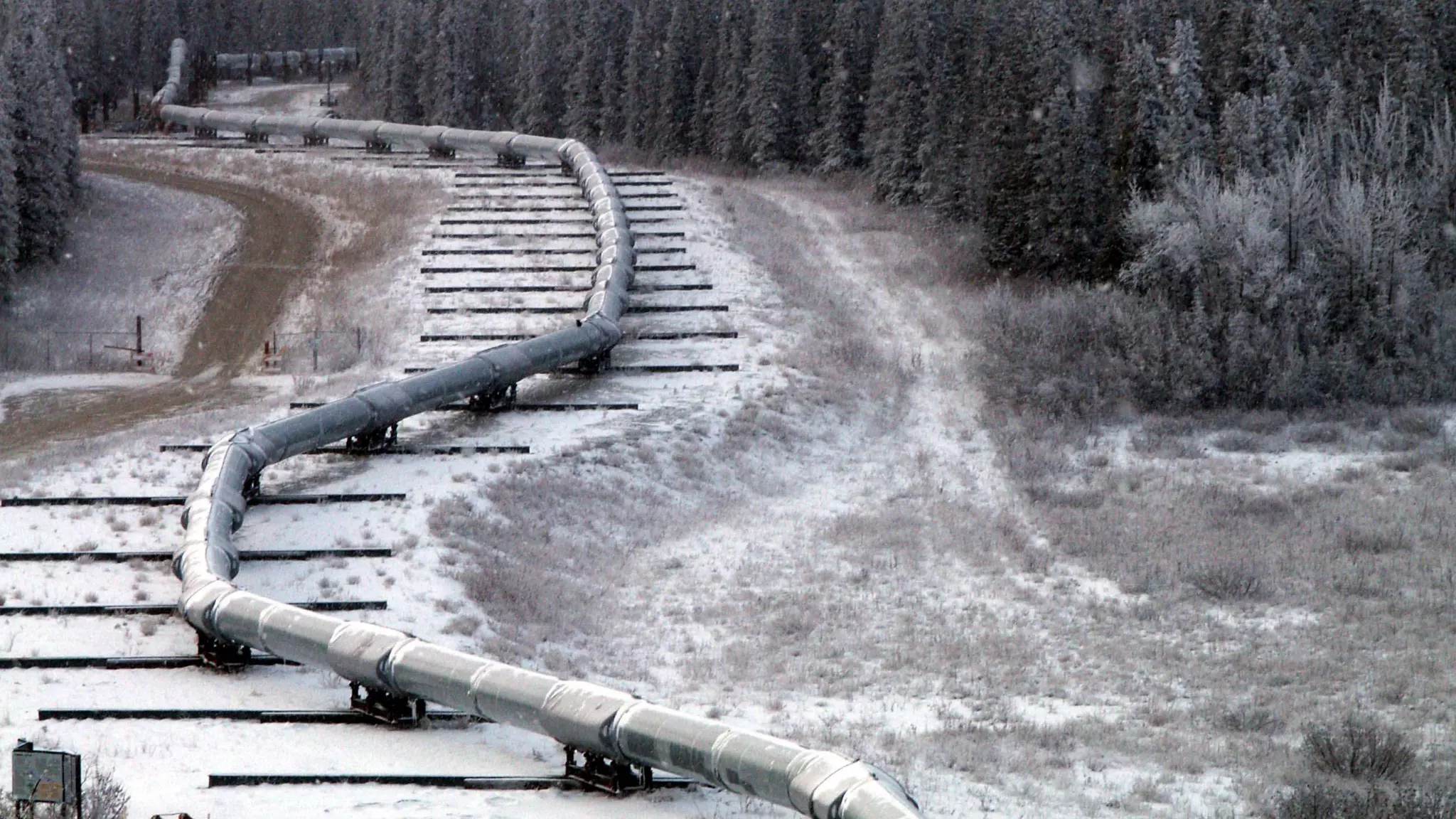 –Johnny Appleseed
“Type a quote here.”
 