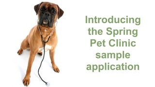 Performance tuning the Spring Pet Clinic sample application | PDF