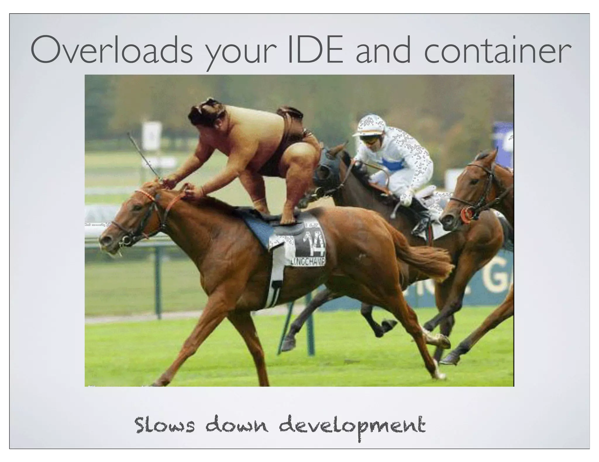 Overloads your IDE and container




      Slows down development
 
