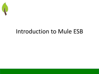 Introduction to mule esb | PPTX