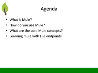 Introduction to mule esb | PPTX