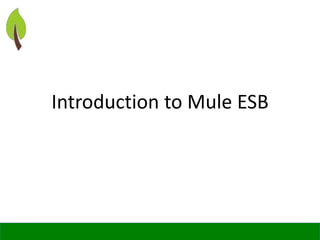 © SpringPeople Software Private Limited, All Rights Reserved.
Introduction to Mule ESB
 