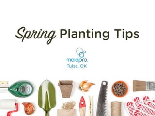 Spring Planting Tips
MaidPro Tulsa
 
