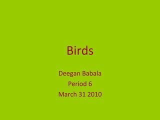 Birds Deegan Babala Period 6 March 31 2010 