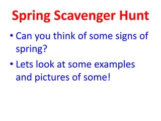 Spring Scavenger Hunt
• Can you think of some signs of
spring?
• Lets look at some examples
and pictures of some!
 