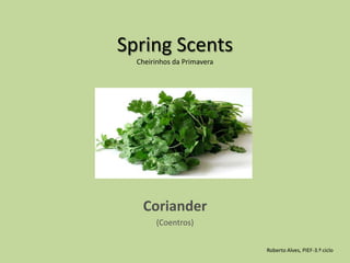 Spring Scents Cheirinhos da Primavera Coriander (Coentros) Roberto Alves, PIEF-3.º ciclo 