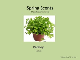 Spring Scents Cheirinhos da PrimaveraParsley (salsa)Roberto Alves, PIEF-3.º ciclo