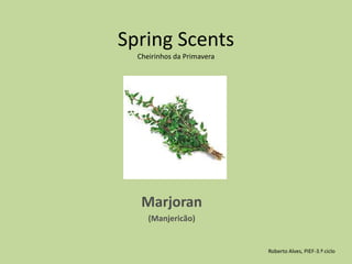 Spring Scents Cheirinhos da PrimaveraMarjoran(Manjericão)Roberto Alves, PIEF-3.º ciclo