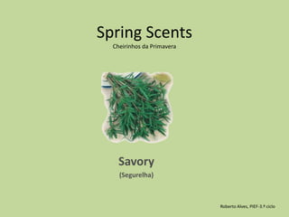 Spring Scents Cheirinhos da PrimaveraSavory (Segurelha)Roberto Alves, PIEF-3.º ciclo