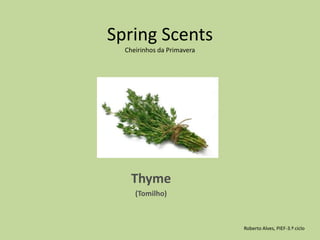 Spring Scents Cheirinhos da PrimaveraThyme(Tomilho)Roberto Alves, PIEF-3.º ciclo