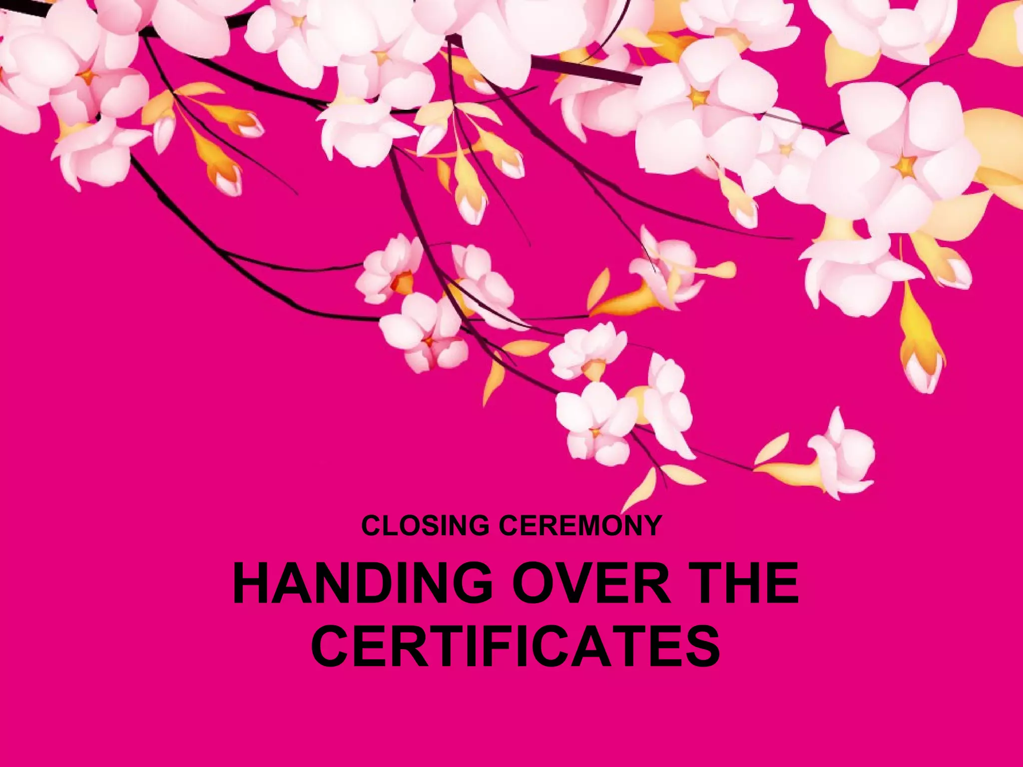 HANDING OVER THE CERTIFICATES CLOSING CEREMONY  