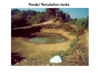 Ponds/ Percolation tanks
 