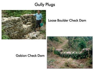 Loose Boulder Check Dam
Gabion Check Dam
Gully Plugs
 