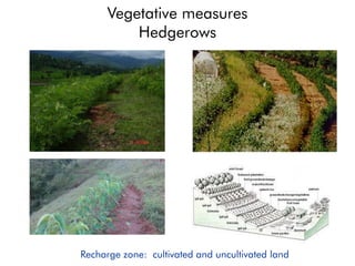 Vegetative measures
Hedgerows
Recharge zone: cultivated and uncultivated land
 