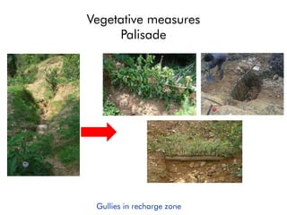 Vegetative measures
Palisade
Gullies in recharge zone
 