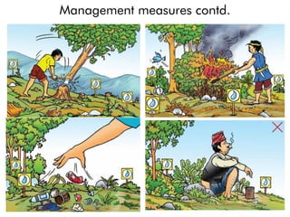 Management measures contd.
 