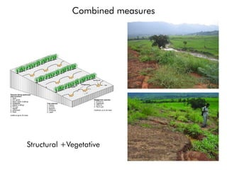 Combined measures
Structural +Vegetative
 