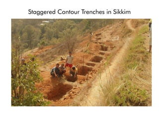Staggered Contour Trenches in Sikkim
 
