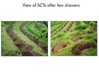 View of SCTs after few showers
 