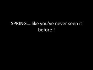 SPRING….like you've never seen it
            before !
 