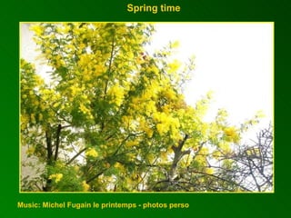 Spring time  Music: Michel Fugain le printemps - photos perso 