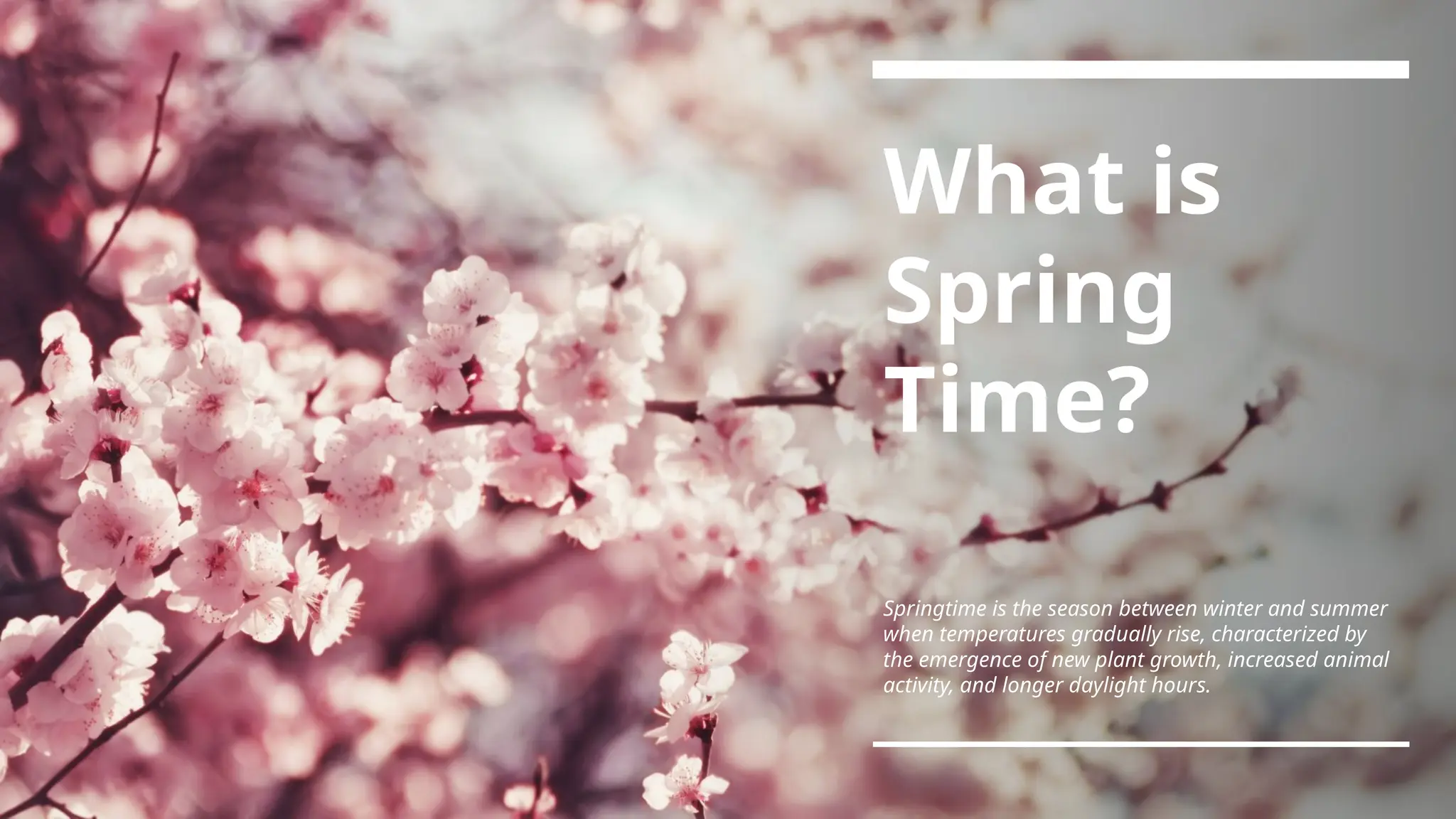 Spring Time and what it is as well as when it occurs.pptx