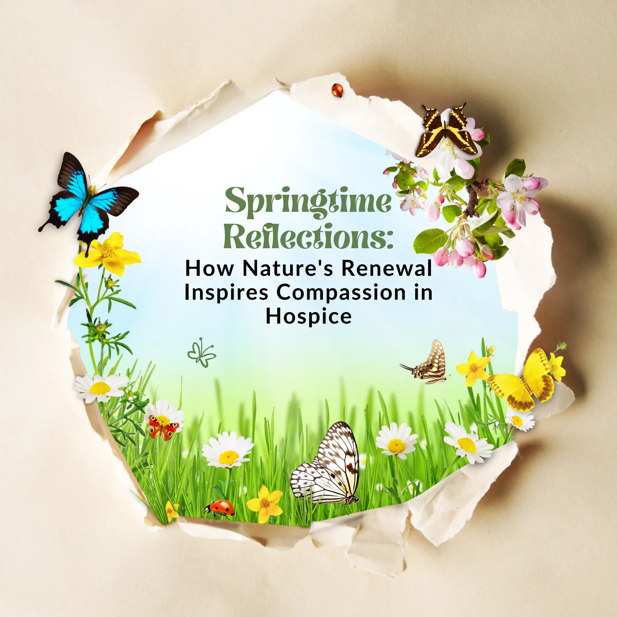Tiktok Star Brynn Woods Inspires With Compassion - tfs030w